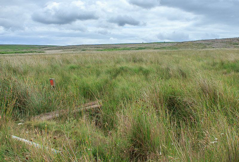 Umberley Brook
