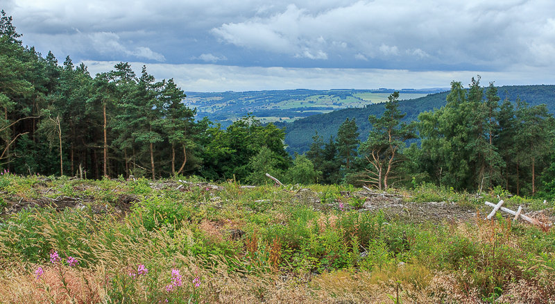 Wye Valley