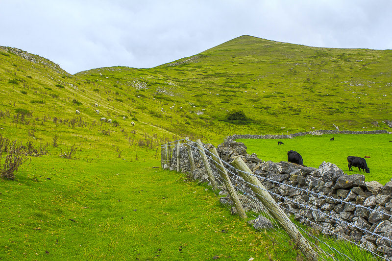 Bunster Hill