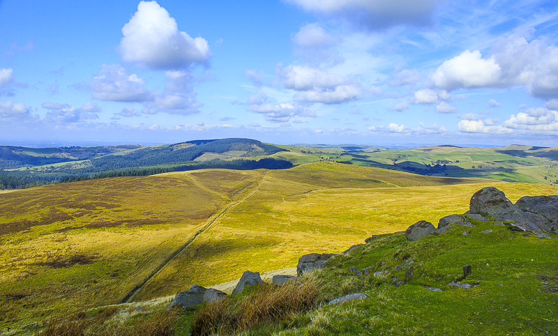 Macclesfield Forest