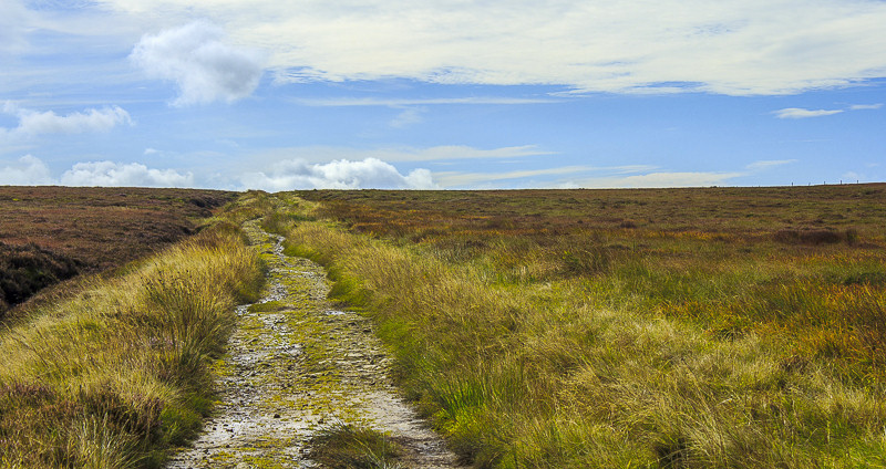 Whetstone Ridge