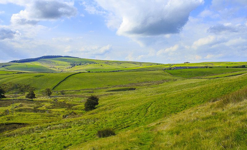 Torgate Farm