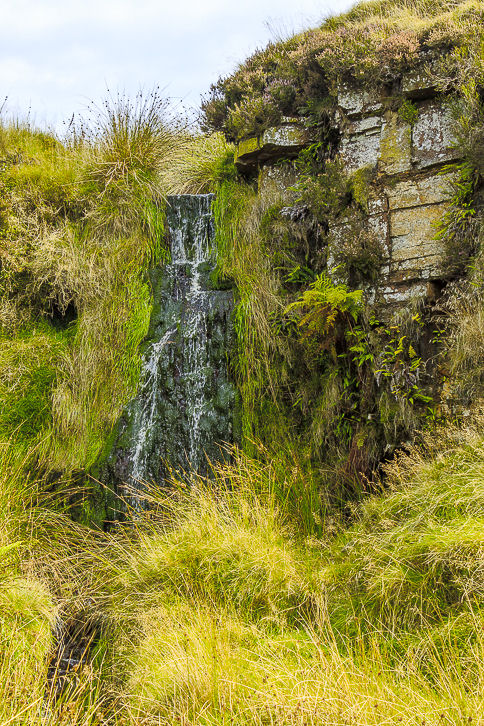 Danethorn Hollow