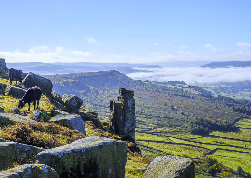 Pinnacle Rock