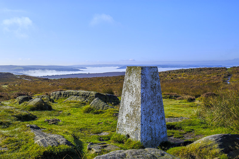 White Edge's trig