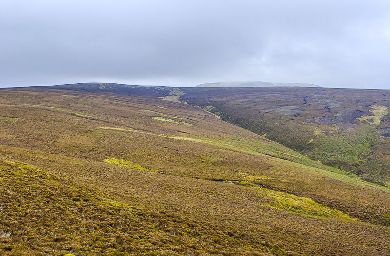 Hollingworth Clough