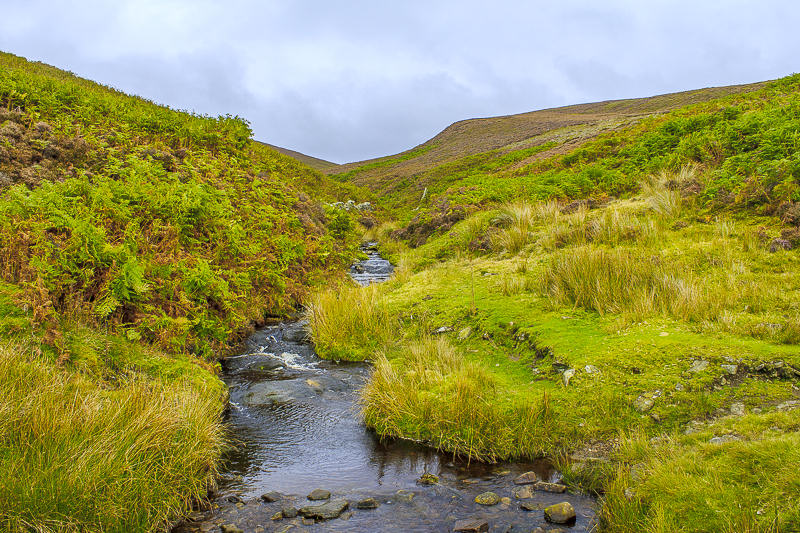 Hollingworth Clough