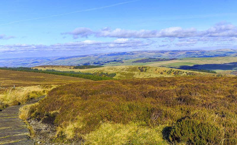 Brown Knoll