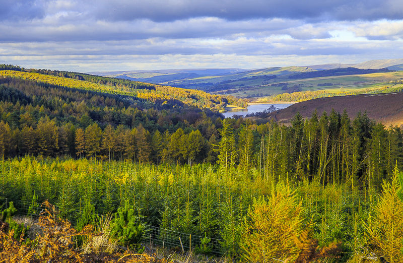 Errwood Reservoir