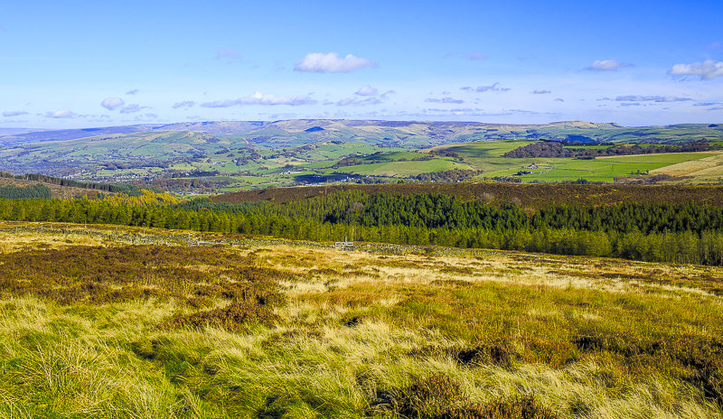 Rushup Edge