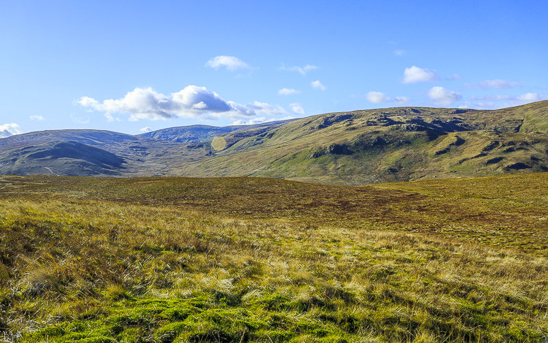 Mosedale