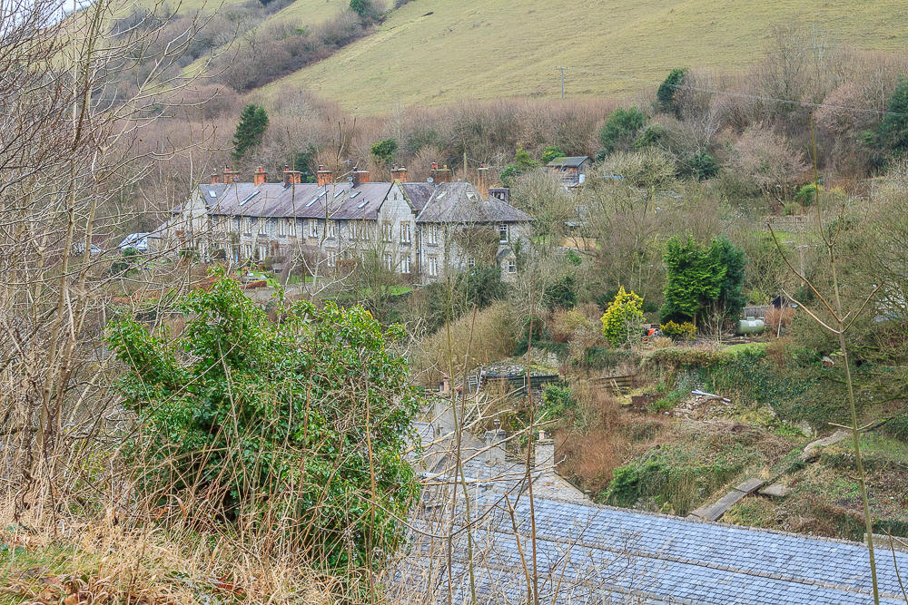 Litton