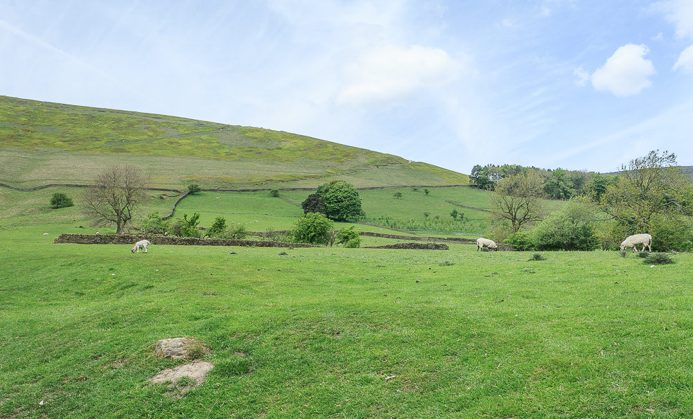 Grindsbrook Booth