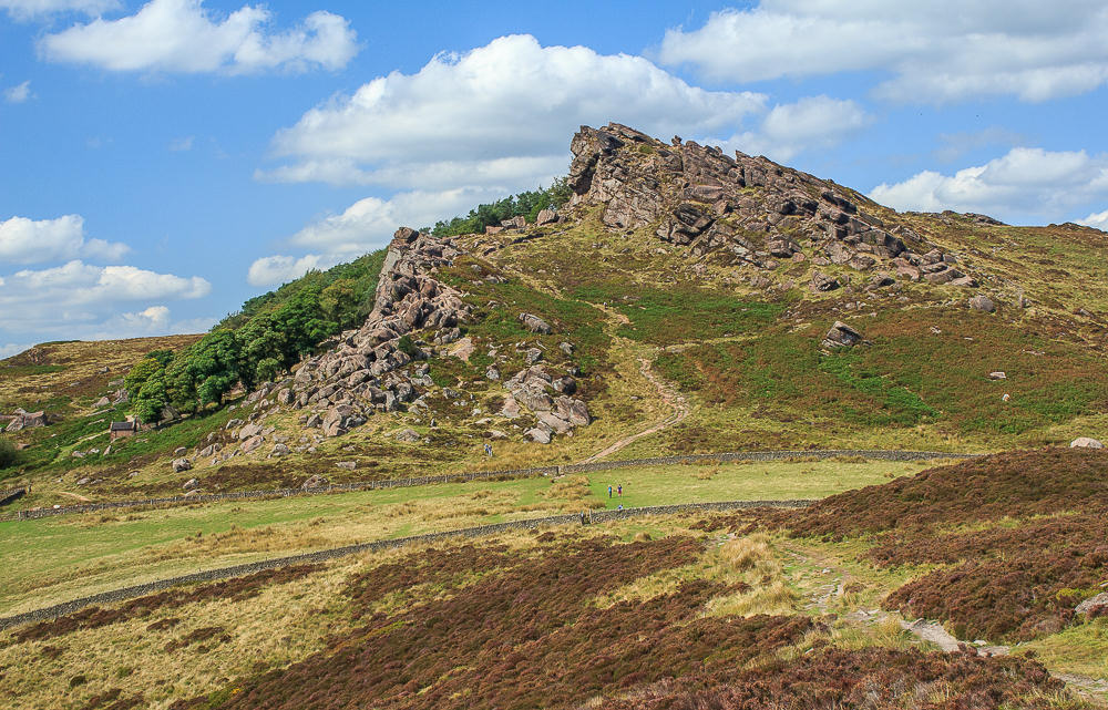 The Roaches