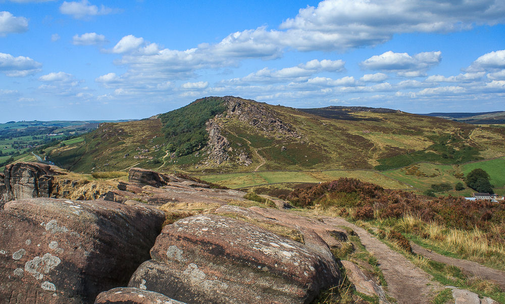 The Roaches