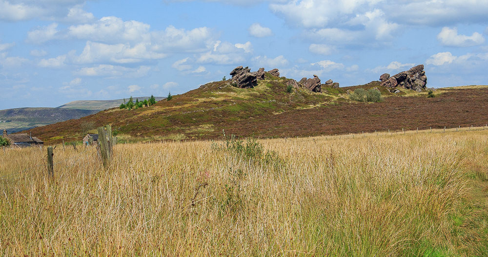 Newstone Rocks