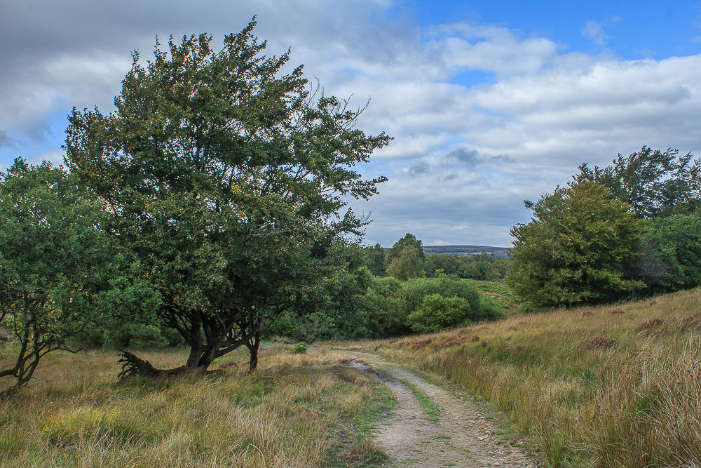 Foxlane Plantation