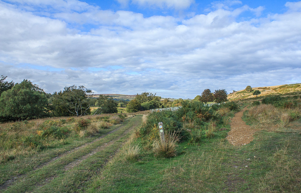 Foxlane Plantation