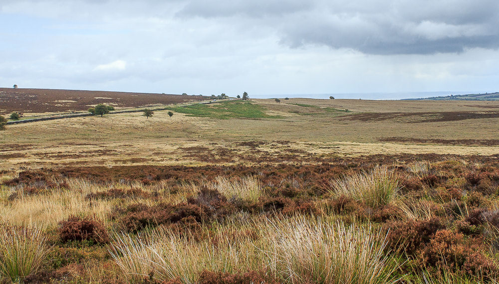 Barbrook