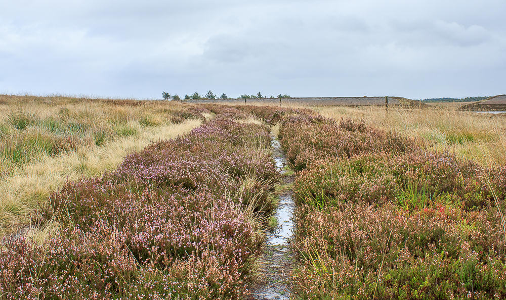 Barbrook Reservoir