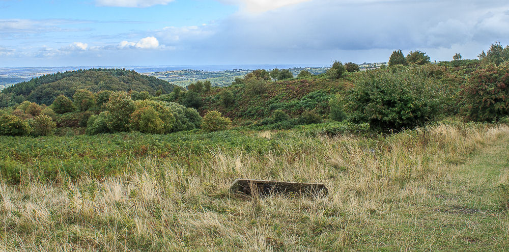 Smeekley Wood