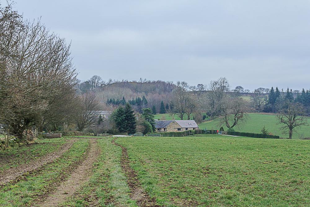 Stanton Moor