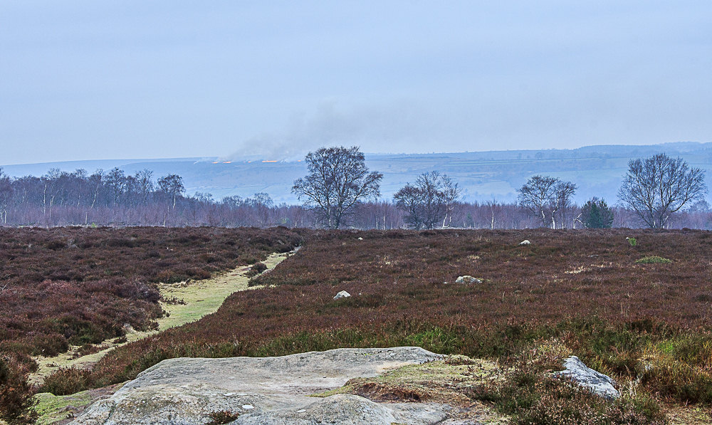 Stanton Moor