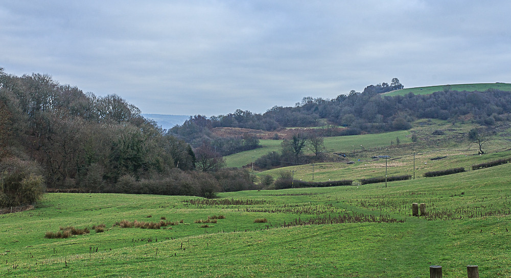 Clough Wood