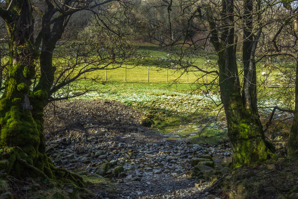 Naddle Beck