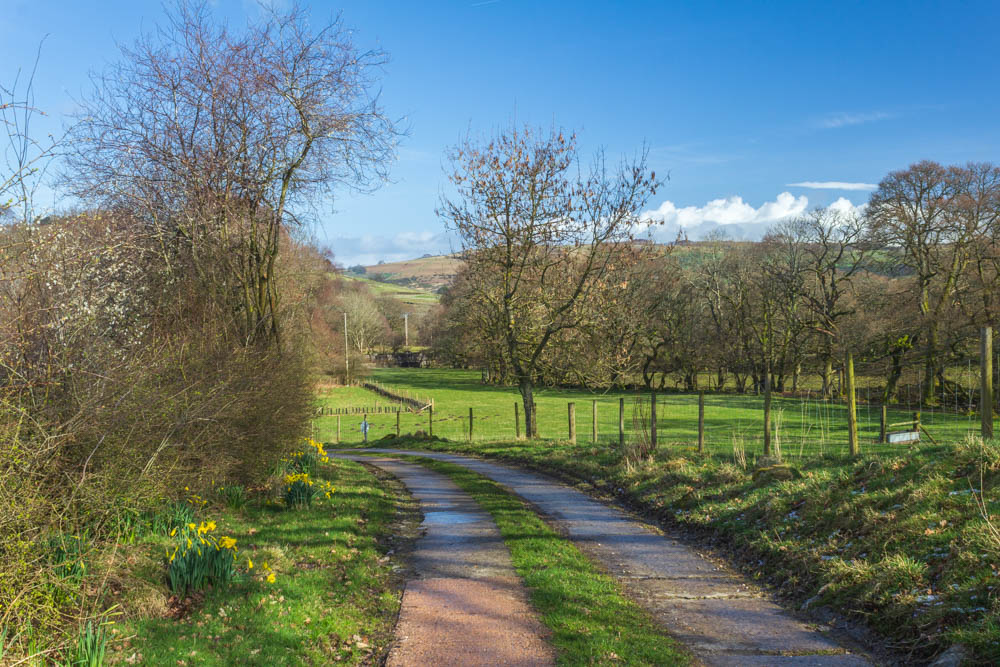 Naddle Farm