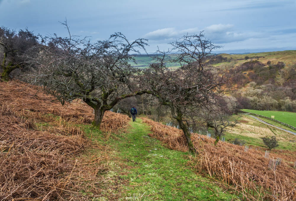 Naddle Farm