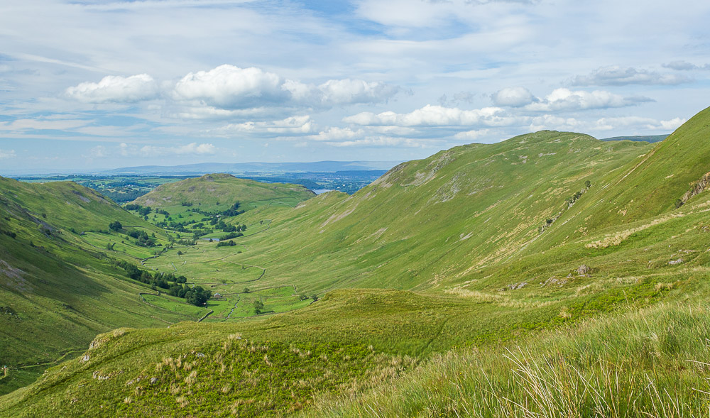 Boredale