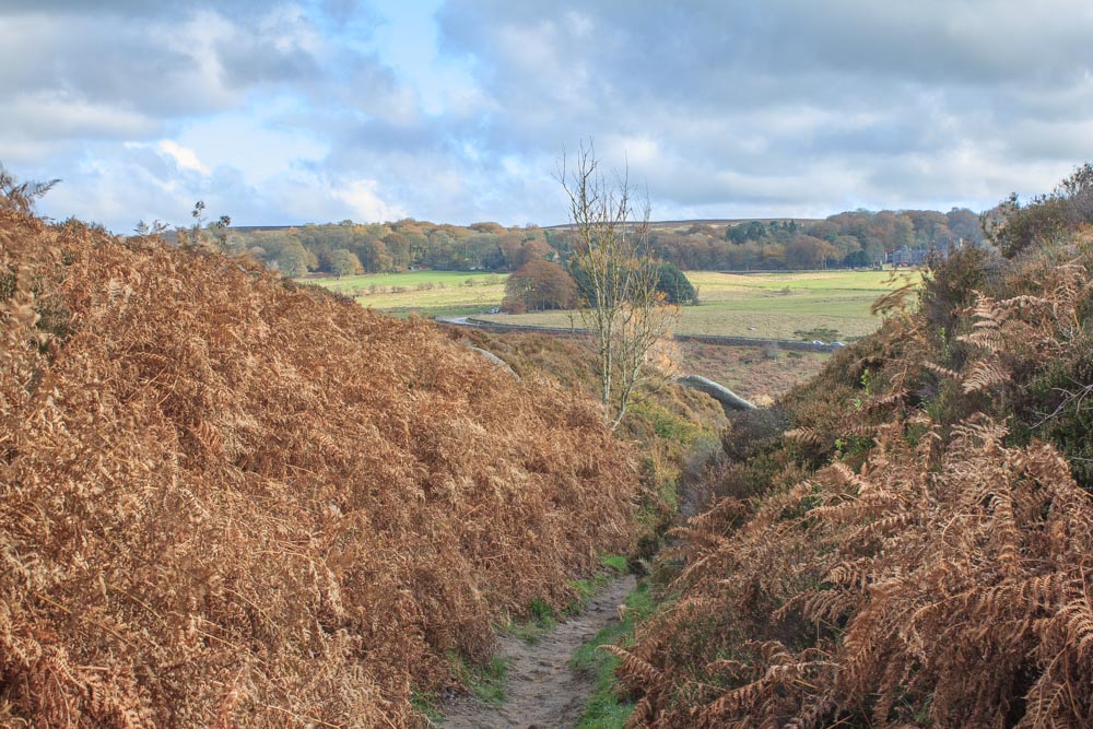 Longshaw Lodge