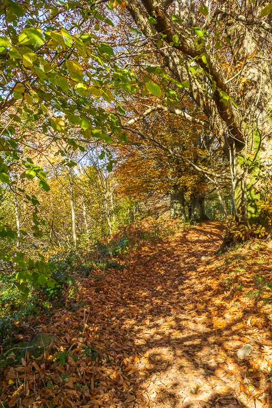 Ullswater Way