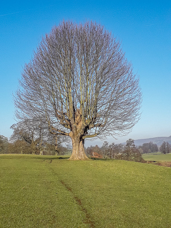 Chatsworth Park