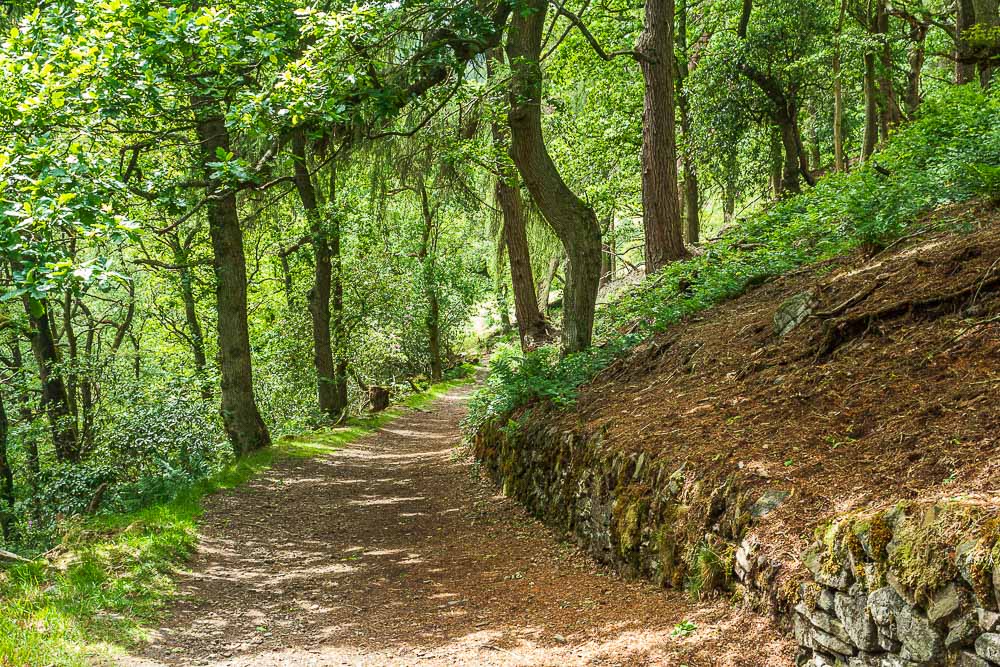 Goyt Valley