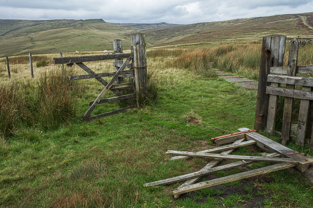 Brown Knoll