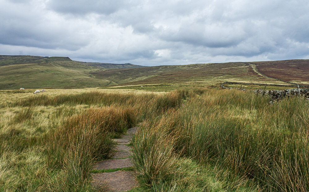 Brown Knoll