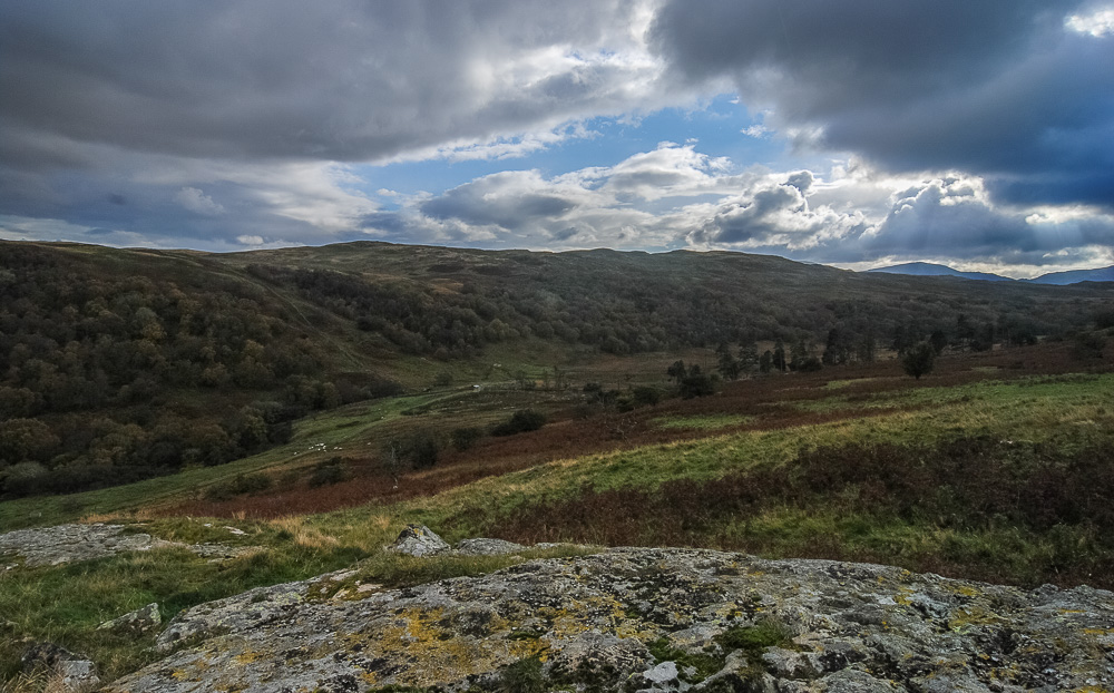 Naddle Beck