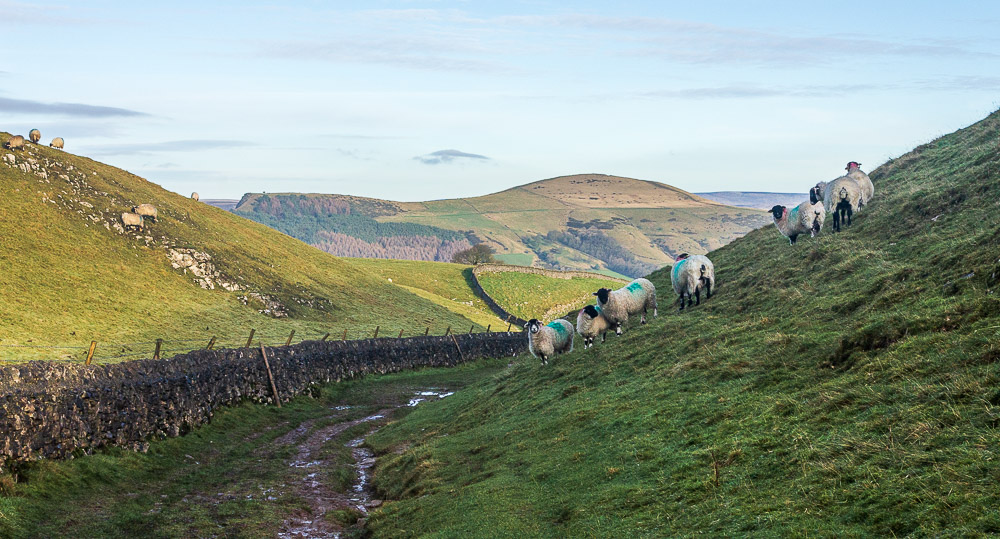 Back Tor