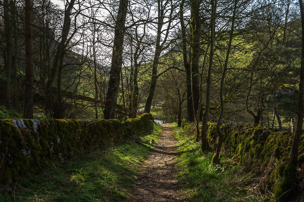 Wolfscote Dale