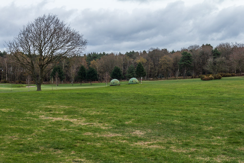Moor Plantation