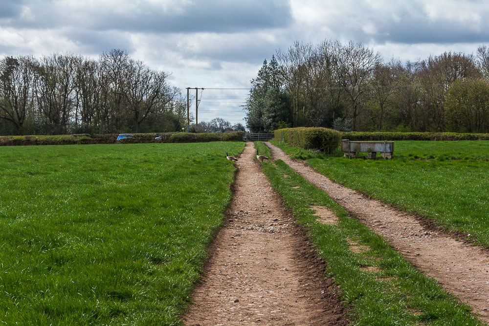 Morleymoor Farm
