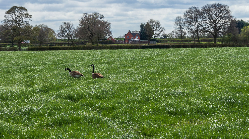 Morleymoor Farm