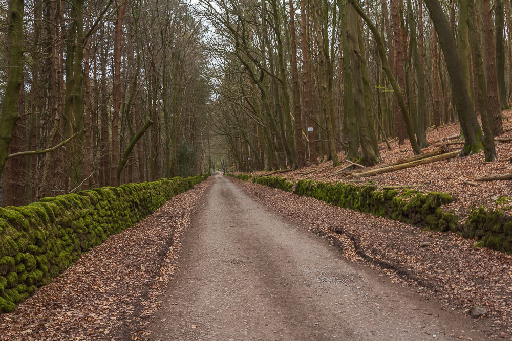Horsley Carr