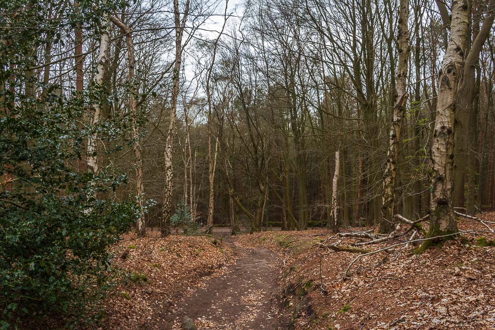 Moor Plantation