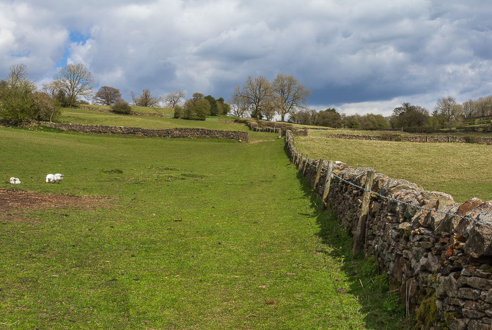 Chasecliff Farm