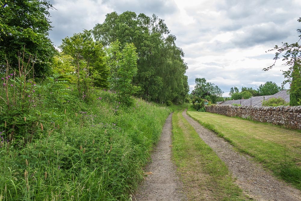 Falstone Trail