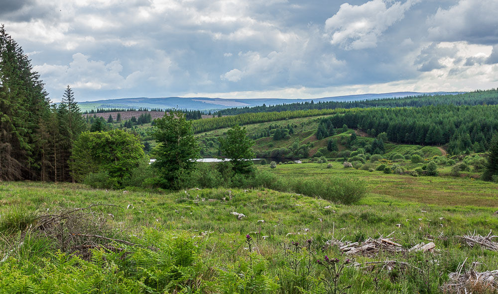 Kielder Water