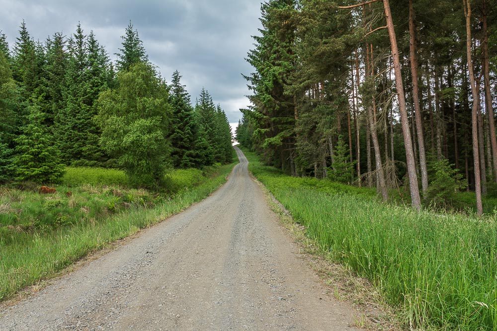 North Haul Road